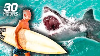 Ce surfeur est attaqué par un requin 🦈  Les histoires insolites [upl. by Thgiwd228]