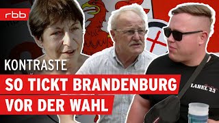 Heißer Wahlkampf Wie wählt Brandenburg  Kontraste  Politikmagazin  Reportage [upl. by Llednew]