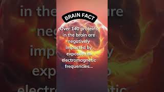 Cell Phone Radiation Can Damage Brain Proteins shorts facts health sleep [upl. by Sualakcin]