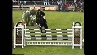 World Record Puissance Show Jumping Franke Sloothaak [upl. by Aiouqahs195]