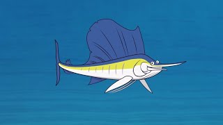 Im a sailfish [upl. by Haisej]