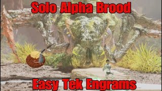 ASA ALPHA Brood Cheese Solo Easy Tek [upl. by Lechar18]