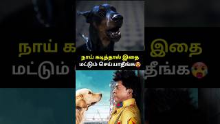 நாய் கடித்தால் இதமட்டும் செய்யாதீங்க 🤯🥵 shorts dogbite [upl. by Nageet]