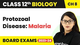 Protozoal Disease Malaria  Human Health amp Disease  Class 12 Biology Chapter 8 202223 [upl. by Zippel]