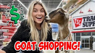 I brought my pet GOAT to the Store amp Bought EVERYTHING she Touched [upl. by Loy]