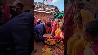 Bhaiya tere angana 🕊️ ki main hoon ek chidiya re haldi haldiceremony wedding moments [upl. by Anaitsirk]