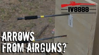 Arrows from Air Rifles [upl. by Mayhs]