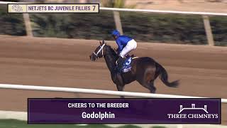 Immersive wins the NetJets Breeders Cup Juvenile Fillies GI race 7 at Del Mar 11124 [upl. by Adnicul]