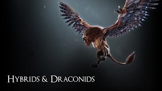 Raxs Bestiary Hybrids and DraconidsWitcher 3 how to kill monsters [upl. by Nylrad415]