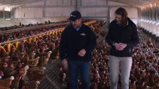 Australian egg farmer profile John Rohde [upl. by Airtal]