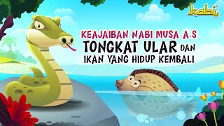 Mukjizat Nabi Musa AS Tongkat Ular amp Ikan  Kisah Teladan Nabi  Cerita Islami  Cerita Anak Muslim [upl. by Sandberg]