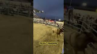 VAQUERITO DE COLIMA 🆚 G63 Rancho El Aguaje [upl. by Naima]