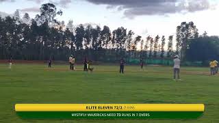 Live Cricket Match  Elite Eleven vs Mystifly Mavericks  07Jun24 0429 PM 7 overs  MYSTIFLY PRE [upl. by Kelam]