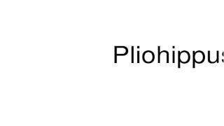 How to pronounce Pliohippus [upl. by Natsirc]