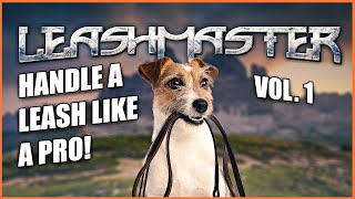 Learn the Dog Leash Handling Secrets of the Pros How to handle a leash properly [upl. by Lhadnek]