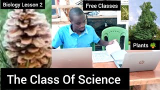 The Class Of Science  Biology Lesson 2  Classification of Plants  PteridophytesampSpermatophytes [upl. by Laenej]