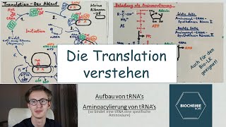 So VERSTEHST du die TRANSLATION PROTEINBIOSYNTHESE  BiochemieNow [upl. by Arenat]