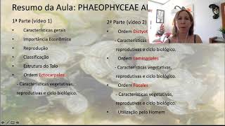 Phaeophyceae parte 2 [upl. by Ahsonek]