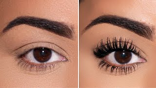 Why this technique is BETTER than your false lashes [upl. by Yaner972]