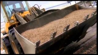 Pellet Manufacturing Process From Forest and Biomass Waste [upl. by Leiva]