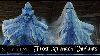 How to use Frost Atronach Variants SE [upl. by Ganiats]