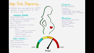 High Risk Pregnancy  maternal  fetal causes diagnosis management prevention [upl. by Kiker360]