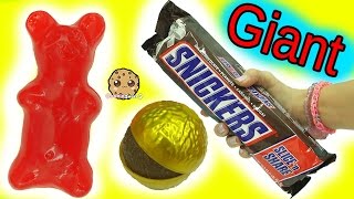 Biggest Candy Bars Ever Giant Candy  Big Gummy Bear Chocolate Food Haul Video [upl. by Lipscomb]