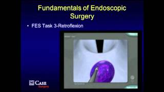 PG Course Fundamentals of Endoscopic Surgery FES  Handson Modules [upl. by Gnoz]