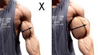 Fastest Bicep Exercises to Build Wider Biceps [upl. by Anahsed]