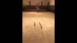 Robin Johansson training day and trickshots in Boule Petanq [upl. by Troth]