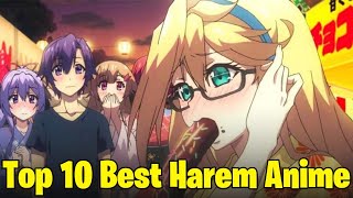 Top 10 Harem Anime in Hindi [upl. by Krenek]