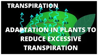 ICSE CBSE Class 10  Transpiration  L9 ADAPTATION IN PLANTS TO REDUCE EXCESSIVE TRANSPIRATION [upl. by Hairehcaz]