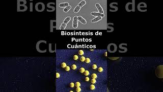 🔬Biosíntesis de Puntos Cuánticos🌟 [upl. by Vasilis]