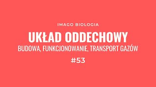 Układ oddechowy [upl. by Acnairb628]