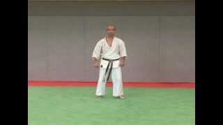 13 Nesieshi Wado Ryu [upl. by Palmore]