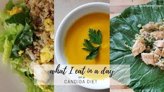 WHAT I EAT IN A DAY 2  CANDIDA DIET [upl. by Lanctot]