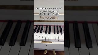 Чистая правда piano pianist music pianomusic classicalmusic рекомендации фортепиано музыка [upl. by Livi]