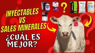 MINERALES PARA GANADO 🐂💉Inyectables vs Minerales en la DIETA  ⭐✅¿Cuál es la MEJOR opción✅⭐ [upl. by Aicil]