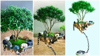 How to make a beautiful and mysterious flying bonsai pot  Amazing idea for the garden [upl. by Odrautse]