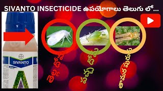 రసం పేల్చే పురుగుల నుండి నివారణ Bayer sivanto insecticides whitefly thrips aphids [upl. by Brok22]