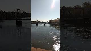 Santee River Jamestown South Carolina Flood Stage nature flood shorts youtubeshort [upl. by Asilla]