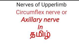 Axillary nerve in தமிழ்  Circumflex nerve in தமிழ்  Nerves of Upperlimb in தமிழ் [upl. by Meriel586]