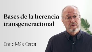 La culpabilidad de los padres Parte 1 🧠 Enric Más Cerca 37 [upl. by Harbour]