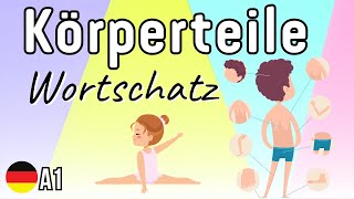 Körperteile lernen  Körperteile Wortschatz  Körper lernen  Body parts in German [upl. by Yendis415]