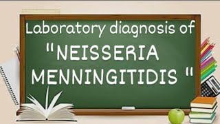 Laboratory diagnosis of neisseria meningitidis [upl. by Irec]