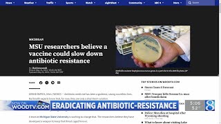 MSU researchers believe a vaccine could slow down antibiotic resistance [upl. by Genaro]