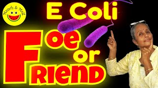 What causes E Coli UTI Infection  How E Coli causes UTI  E Coli UTI microbiology [upl. by Ynnelg]