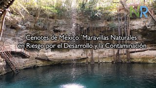 Cenotes de México Maravillas Naturales en Riesgo por el Desarrollo y la Contaminación [upl. by Annairam]