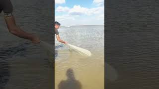 sea fishing highlights twolessfishinthesea fishing bangladesh fish sportfishing [upl. by Kreindler170]