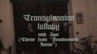 Transylvanian lullaby with Igor violin [upl. by Coral]